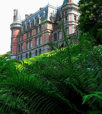 Gite St Emilion Braz