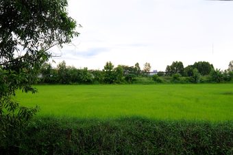 Hotel Koko Resort Sakon Nkhon