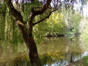 Camping Les Chambons