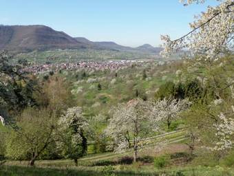 Hotel-restaurant & Metzgerei R��le