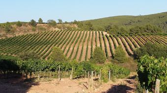 Bed & Breakfast Casa Del Pi B & B