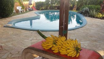 Apartamento Studio In Piton Saint-leu, With Wonderful Sea View, Pool Access, Enclosed Garden - 7 Km From The Beach