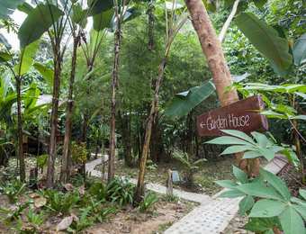 Hotel Our Jungle House