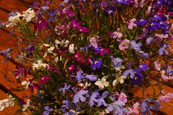 Agroturismo Sindles Farm Shepherd's Huts