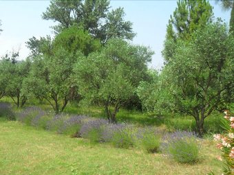 Bed & Breakfast L'oulibo