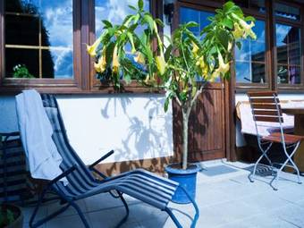 Hostal Pension Florianhof