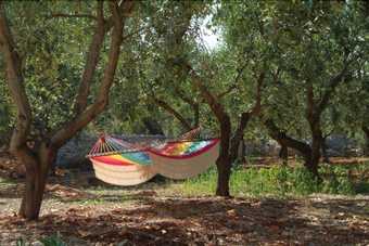 Bed & Breakfast Masseria Trotta
