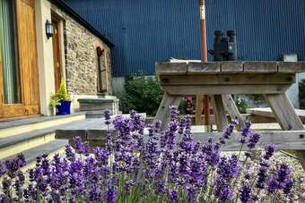 Bradworthy Swallow Parlour 2 Bedrooms