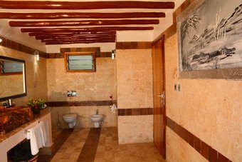 Hotel Shimba Green Lodge