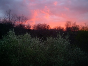 Agroturismo Agriturismo Le Cammarose