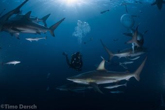 Posada Umkomaas Lodge