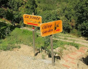 Agroturismo B&B Amoliv