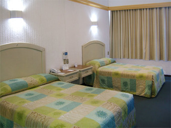 Hotel Diana Del Bosque