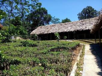 Hostal Family Homestay Ba VI - Hostel