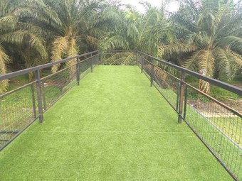 Hotel Jeram Tiny House