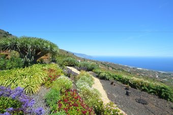 Agroturismo Casa Rural Sabina By Isla Bonita