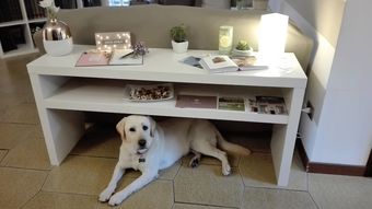 B&B Villa Delle Ortensie