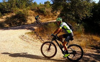 Agroturismo Agriturismo Fattoria Aquilone