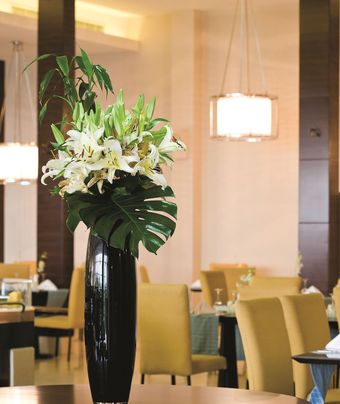 Movenpick Hotel & Resort Yanbu