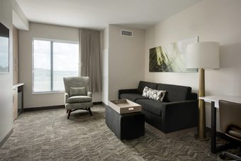 Hotel Springhill Suites By Marriott Tampa Suncoast Parkway