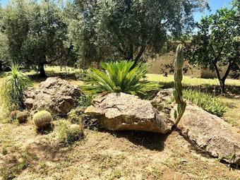 Affittacamere Paduli Piani