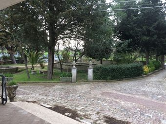 Ver fotos