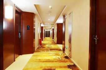 The King Lycra Hotel