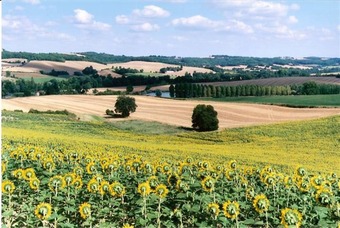 Bed & Breakfast Les Celtes De Gascogne