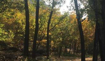 Hotel Beijing Qingsu Courtyard