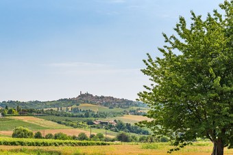 B&B Belcasale