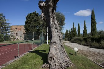 Villa Laura - Fattoria Di Larniano