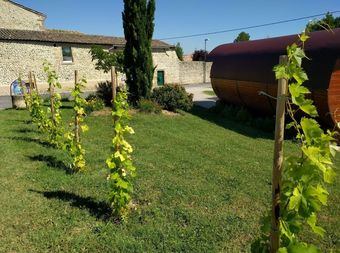 Ferme Des Denis Le Tonneau De Fortun�e