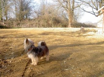 Bed & Breakfast Le Moulin Des Marionnettes