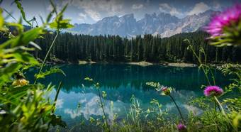 Moseralm Berghotel