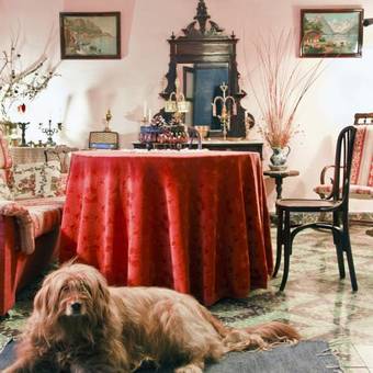 Hostal El Jara�z De Pe�olite