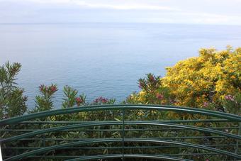 Apartamentos Lobos Bay