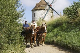 House With 2 Bedrooms In Bouvelinghem, With Furnished Garden And Wifi - 30 Km From The Beach