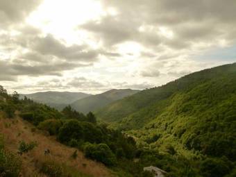 Apartamentos Rurales El Bosque De Las Vi�as