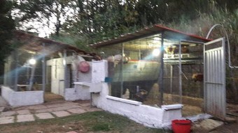Ver fotos