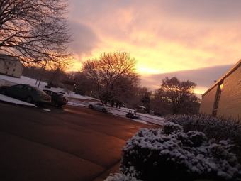 Hotel Apm Inn & Suites