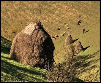 Kuko Hotel Restaurant