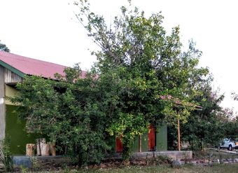 Posada Voyager Equator Lodge