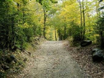 Apartamentos Pirineos Ordesa