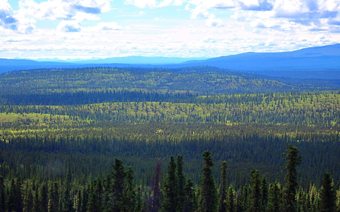 Posada Alpine Creek Lodge