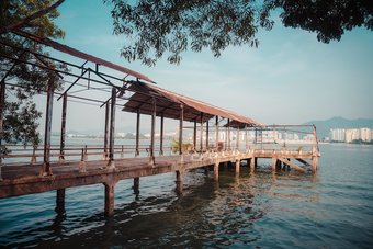 Ver fotos