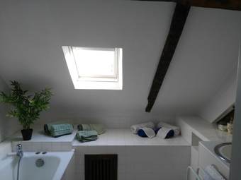 Les Cam�lias Des Demoiselles De Pallus