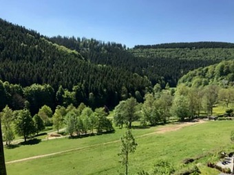 Ferienwohnung Markus