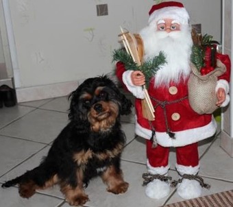 House With One Bedroom In Fraize, With Enclosed Garden And Wifi