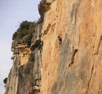 Agroturismo Mas Del Salin