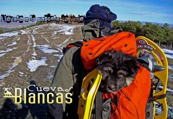 Apartamento Cuevas Blancas